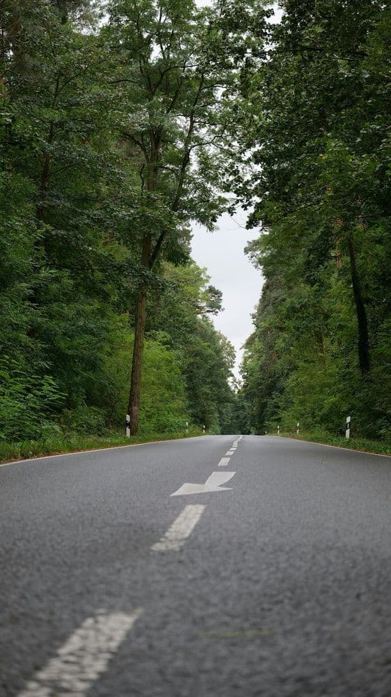 Psychologia transportu - studia podyplomowe i uprawnienia