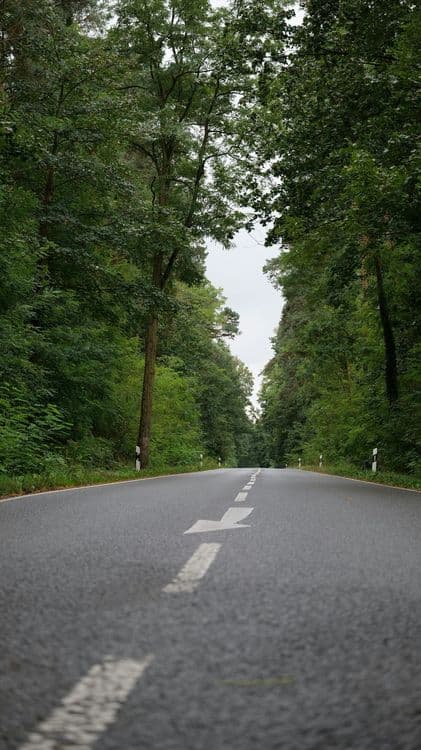 Psychologia transportu - studia podyplomowe i uprawnienia
